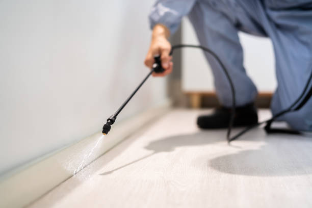 Licensed Pest Control service in Shell Point, SC - Show Me Pest Control