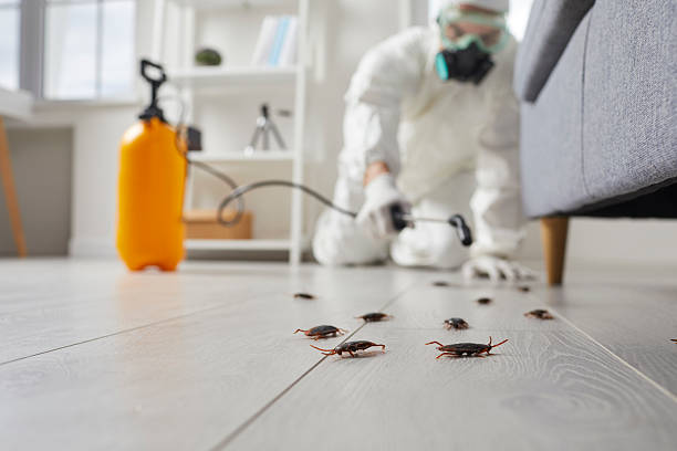Commercial Kitchen Cockroach Control in Shell Point